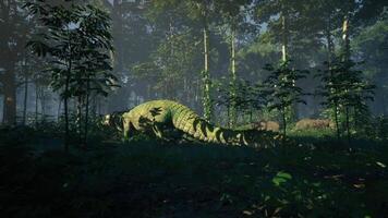 CGI Crocodile moving stealthily through a dense forest during twilight hours video