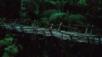 CGI Exploring an ancient rope bridge in the dense jungles of Venezuela video