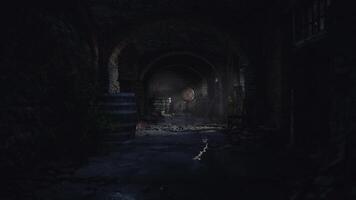 CGI Hidden underground cellar reveals ancient barrels and stone architecture video