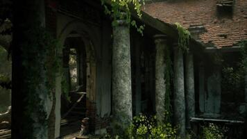 cgi övergiven strukturera med bevuxen växter i en lugn miljö video