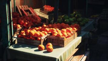 CGI Various Oranges Arranged on Table video
