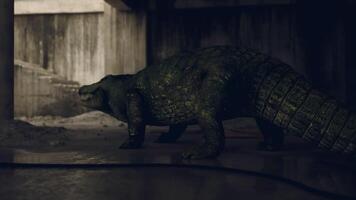 CGI Crocodile exploring a dimly lit environment near a concrete structure video