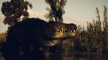 CGI Crocodile emerging from water in a natural habitat with greenery video