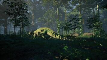 CGI Crocodile resting in dense forest under dappled sunlight video