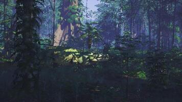 CGI Large crocodile resting among lush foliage in a dense tropical forest video