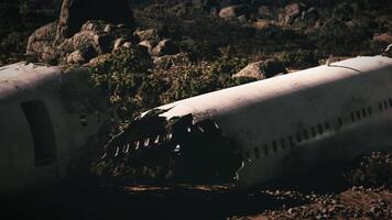 CGI Plane wreckage at crash site surrounded by rugged terrain in remote location video