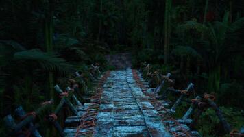 CGI Wooden bridge crossing a lush jungle in Colombia during twilight hours video