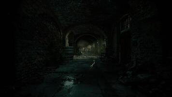 CGI Exploring an eerie underground corridor with dim lighting and stone walls video
