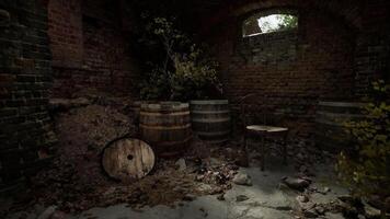 CGI Abandoned cellar with barrels and a chair surrounded by nature video