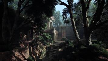CGI Dense Forest With Numerous Trees video