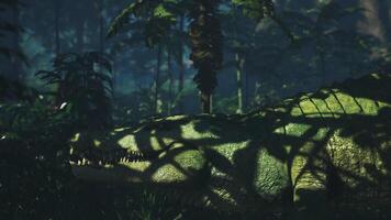 CGI Crocodile resting in a dense jungle during a sunny afternoon video