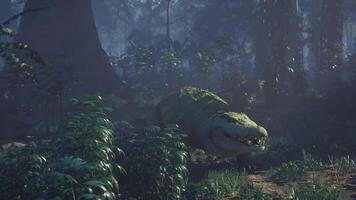 CGI Crocodile resting quietly among the greenery in a dense jungle video