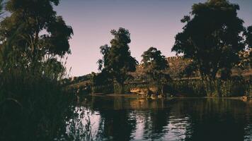 CGI Crocodile resting by the water under trees during sunset in a calm environment video