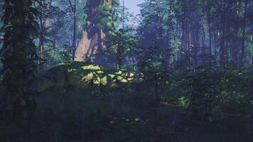 CGI Crocodile resting silently in a dense jungle at dawn video