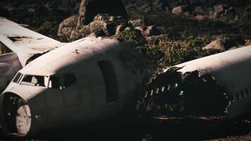 CGI Plane wreckage on ground surrounded by dense vegetation after crash incident video