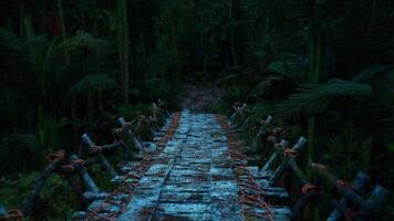 CGI Pathway through dense Colombian jungle at twilight video