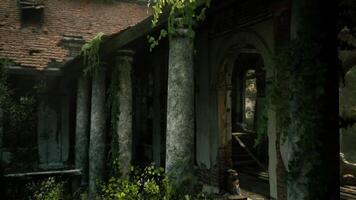 CGI Abandoned building with overgrown vegetation in a quiet area video