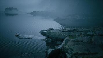 CGI Misty shoreline with rocky formations at dusk creating a tranquil atmosphere video