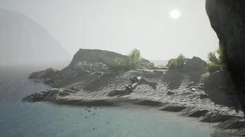 CGI A tranquil beach in Indonesia features soft waves lapping at the shore video