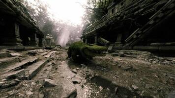 CGI Crocodile resting in an ancient, overgrown temple surrounded by ruins video