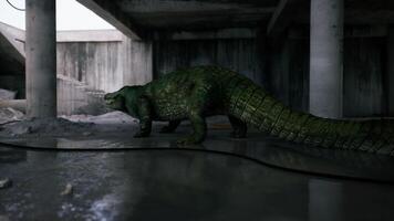 CGI Crocodile explores a dimly lit structure near waters edge video