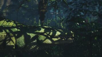 CGI Crocodile lurking in the shadows of a dense tropical forest at dusk video