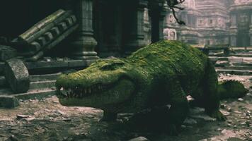 CGI Crocodile exploring ancient ruins covered in moss and vegetation video