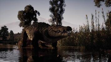 CGI Crocodile emerges from water in a lush riverside location at dusk video