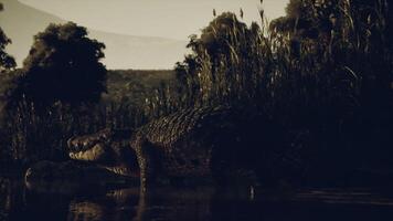 CGI Large crocodile resting on the bank of a river surrounded by tall grass video