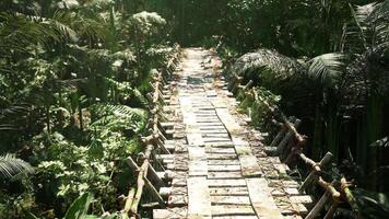 CGI Exploring a rustic wooden bridge through lush forest in Argentina video