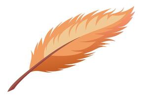 A single detailed orange feather illustration featuring stylized elements against a clean white background vector
