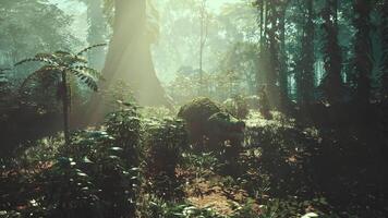 CGI Crocodile basking in the sun near a lush jungle environment in the morning video