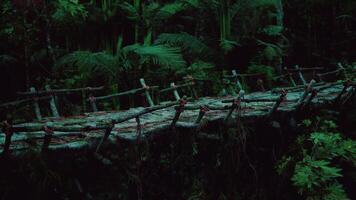 CGI Mysterious traditional bridge in the Venezuelan rainforest at twilight video