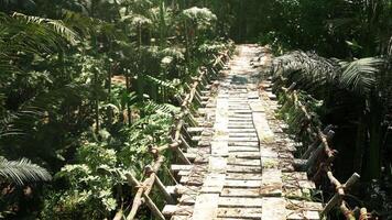 CGI Exploring a rustic wooden bridge in the lush jungles of Argentina video