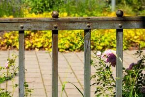 Rustic garden fence adorned with blooming flowers in vibrant colors during a sunny afternoon photo