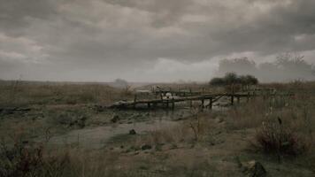 CGI Dry landscape with a wooden bridge under a cloudy sky at dusk video