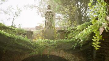 CGI Serene garden with statue surrounded by lush greenery and soft light video
