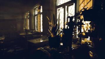 CGI Abandoned room filled with plants casting shadows in dim light video