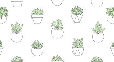 A guide to indoor plants for beginners to boost your mood naturally vector