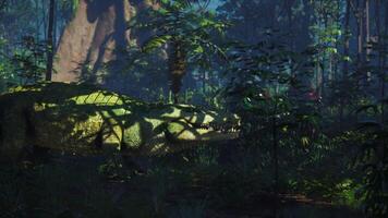 CGI Crocodile resting among lush vegetation in a dense jungle environment video