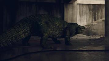 CGI Crocodile exploring an abandoned space with dim lighting and concrete walls video