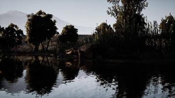 CGI Crocodile resting by the water in a serene natural habitat at dawn video