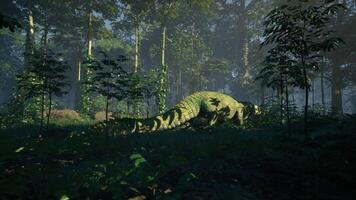 CGI Crocodile lurking in a lush forest environment during early morning hours video