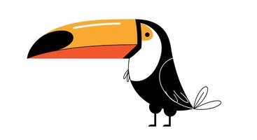 The Wonderful World of Toucans Facts Characteristics Habitats and Conservation Efforts for this Bird vector