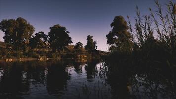 CGI Crocodile resting by the riverbank during twilight hours in nature video