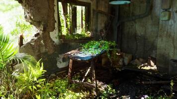 CGI Abandoned room with a wooden table overgrown by plants in a weathered building video