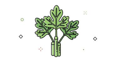 The Aromatic and Flavorful World of Parsley An Herb Loved by Chefs Everywhere vector