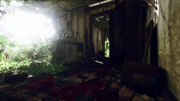 CGI Abandoned room overgrown with plants and sunlight filtering through in daytime video
