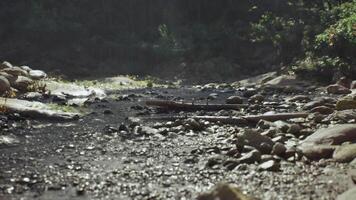 CGI Stream flowing through rocky terrain in Madagascar during daylight video