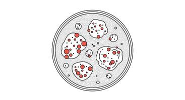 A Delicious Culinary Delight Homemade Pizza with Fresh Toppings Recipe for Cooking Enthusiasts vector